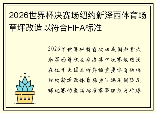 2026世界杯决赛场纽约新泽西体育场草坪改造以符合FIFA标准